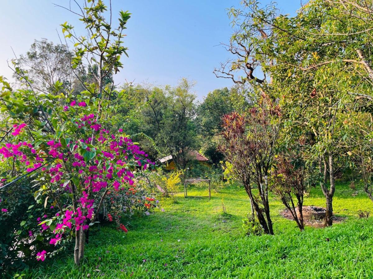 Coorg Daffodil Guesthouse Мадікері Екстер'єр фото